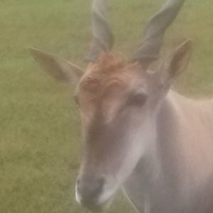 Meet your Posher, Joel